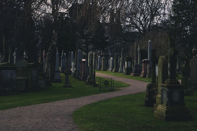 Miljøvenlige begravelser: Grønne valg hos bedemanden